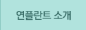 연플란트 소개