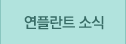연플란트 소식