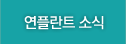 연플란트 소식