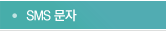 sms문자
