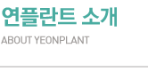 연플란트 소개