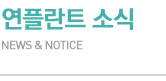 연플란트 소식