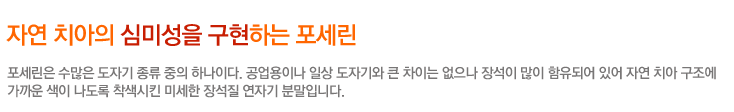 자연 치아의 심미성을 구현하는 포세린
포세린은 수많은 도자기 종류 중의 하나이다. 공업용이나 일상 도자기와 큰 차이는 없으나 장석이 많이 함유되어 있어 자연 치아 구조에 
가까운 색이 나도록 착색시킨 미세한 장석질 연자기 분말입니다.